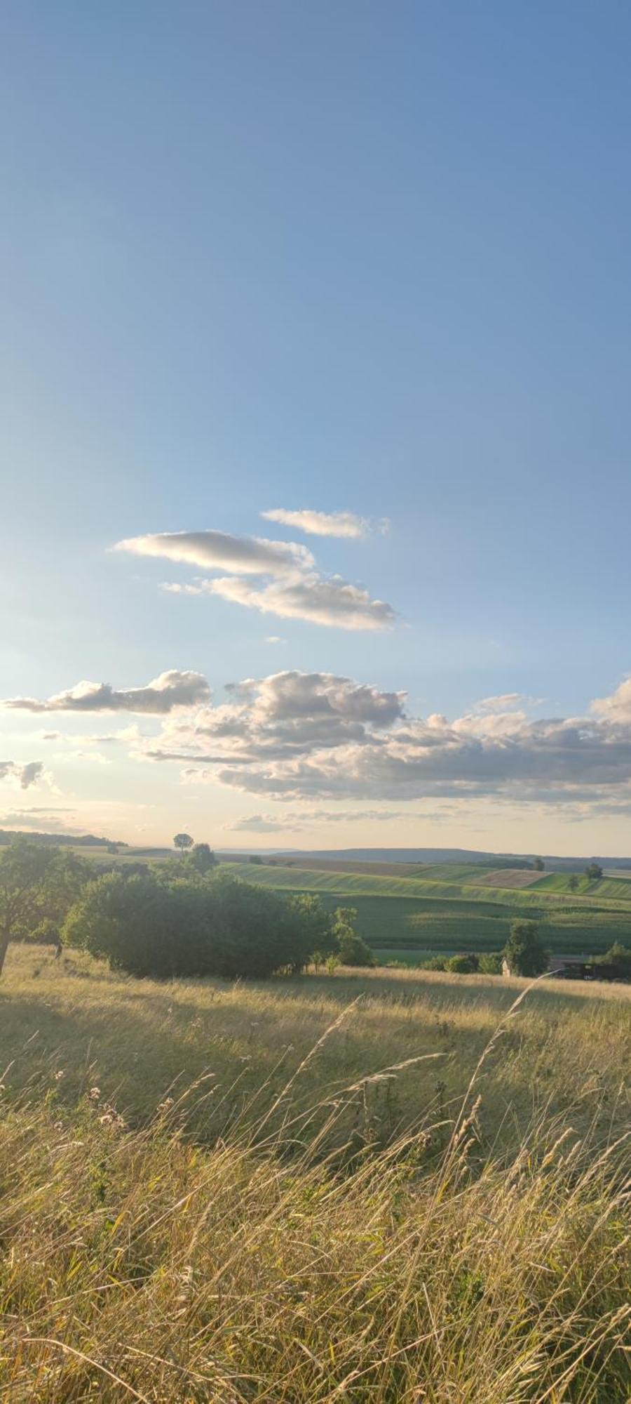 Lohmann'S Landhaus Zum See Stadtlauringen Dış mekan fotoğraf